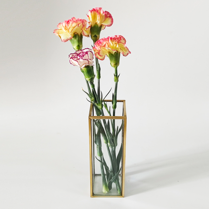 A 0.5L tall and slender square desktop glass vase with gold - inlaid edges, no welding points, and waterproof, suitable for Valentine's Day, Mother's Day, and Christmas.