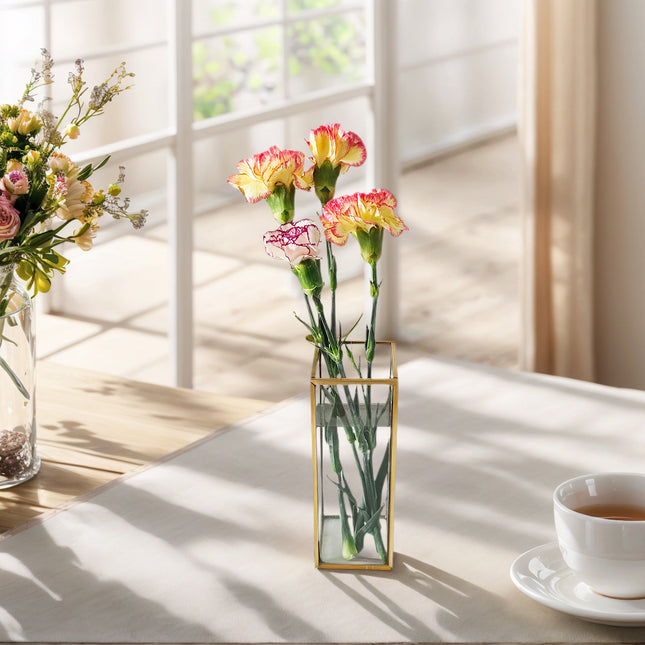 A 0.5L tall and slender square desktop glass vase with gold - inlaid edges, no welding points, and waterproof, suitable for Valentine's Day, Mother's Day, and Christmas.